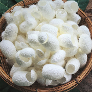 silk proteins.jpg